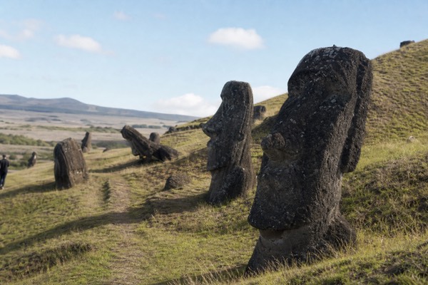 Moai standing on the grassy slope of the Rano Raraku quarry on Easter Island under midday sun
