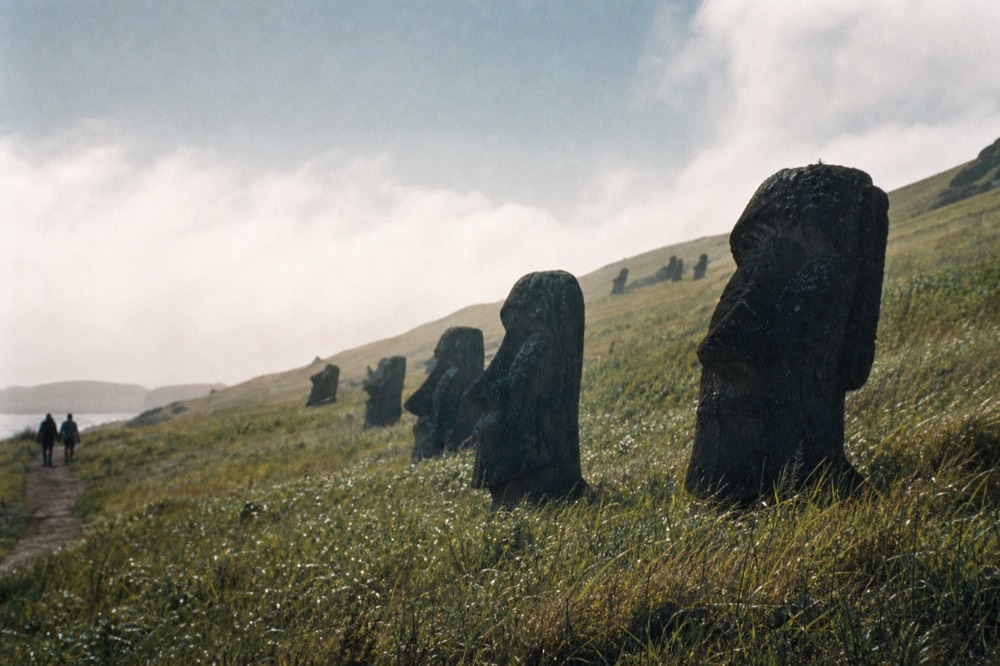 Line of stone moai heads emerging from long grass on a hillside with more figures visible further up the slope