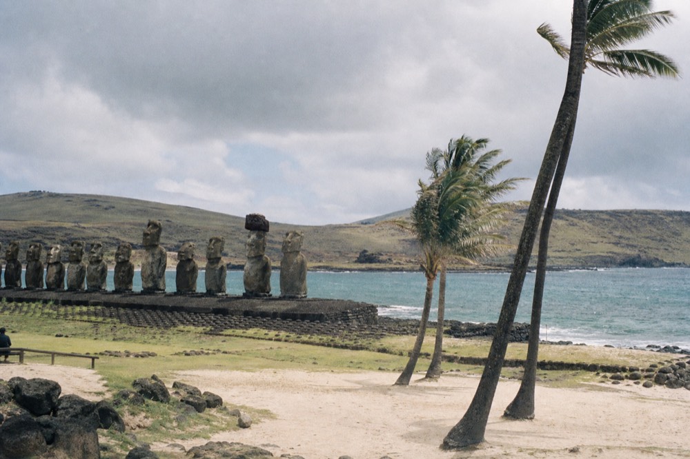 Planted palms leaning over the pale coral sand and turquoise shallows at Anakena beach on a bright windy afternoon