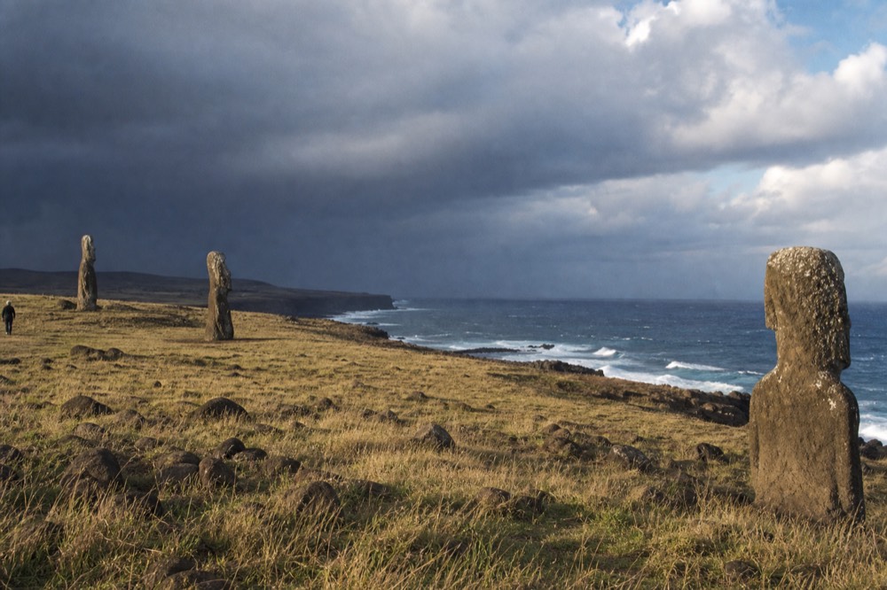 Windswept treeless grassland running down to black volcanic cliffs and open Pacific swell on the island's coast