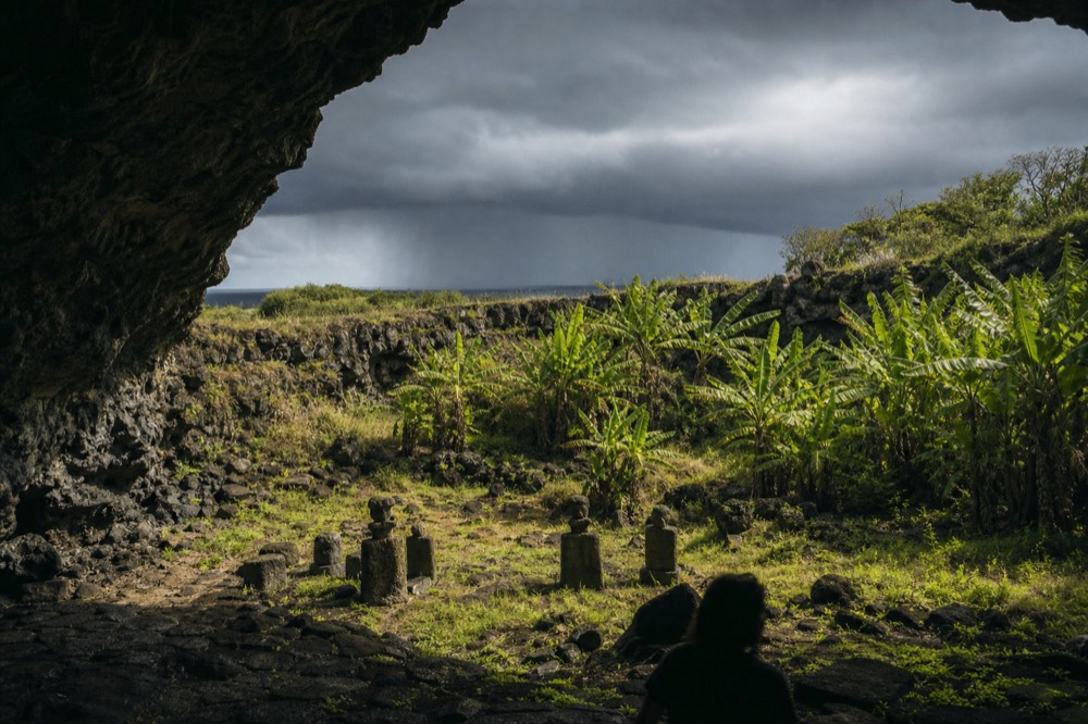 Wide mouth of the Ana Te Pahu lava cave with banana plants growing in the sunlit collapse below