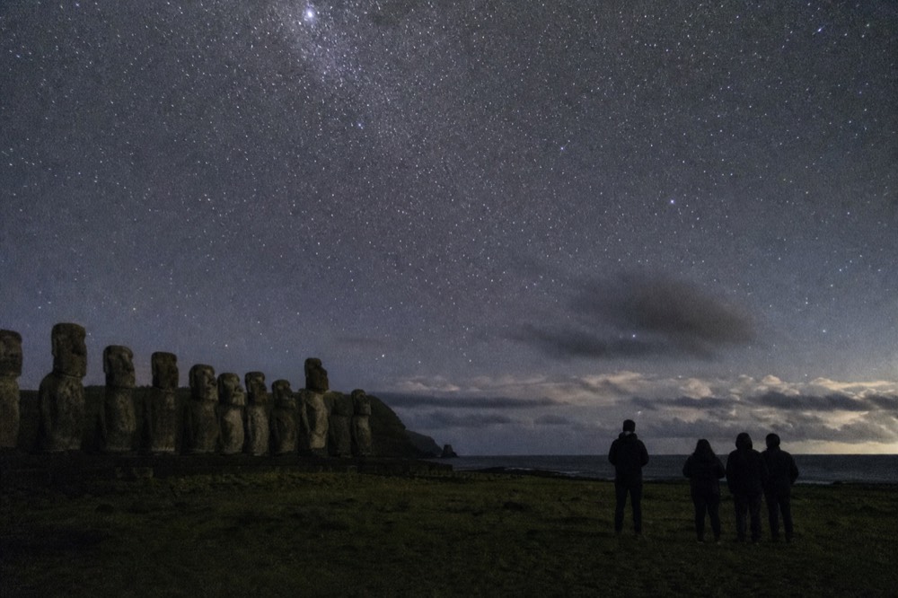 Small group of dark silhouettes standing in open grassland looking upward beneath a star-filled sky