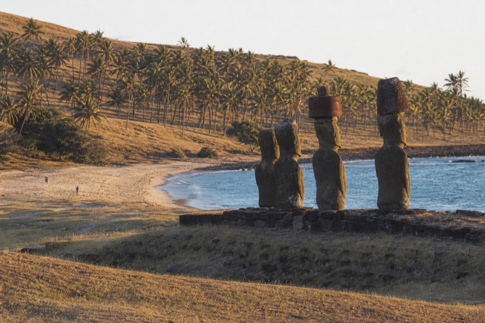 Coral sand and shallow turquoise water at Anakena backed by a dense row of tall planted palms